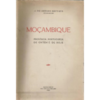 Livros/Acervo/B/BAPTISTA J AMPARO